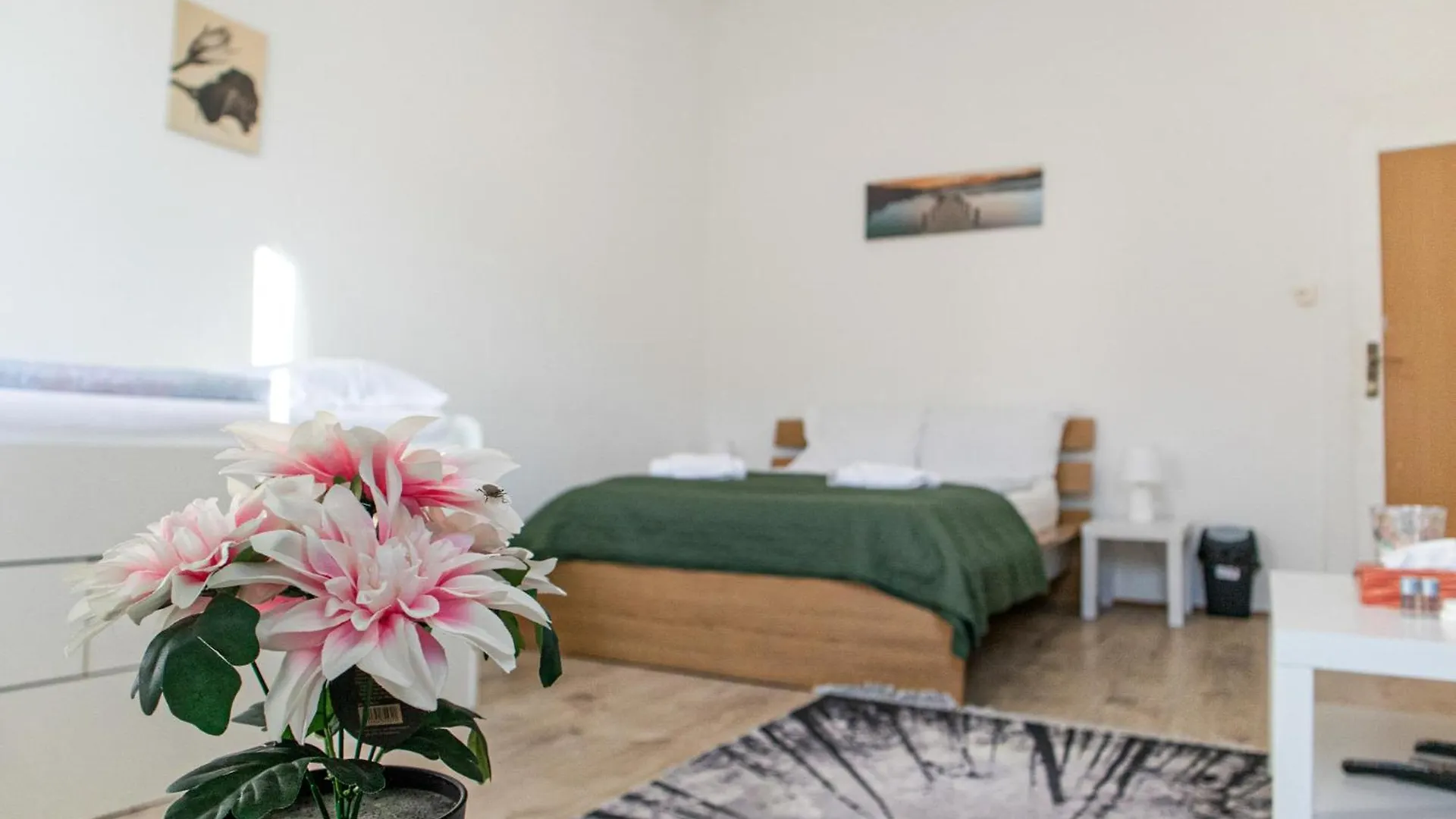 Convenient 3Br Near Danube & Millenium Tower Apartment Vienna